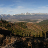 Pohľad na Vysoké Tatry