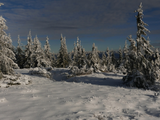 Za smrekmi Vysoké Tatry