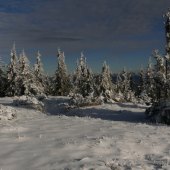 Za smrekmi Vysoké Tatry