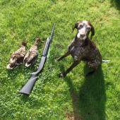 Prvé kačičky a Axička