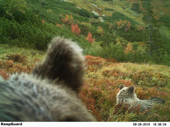 Ušatá jesenná pohoda.