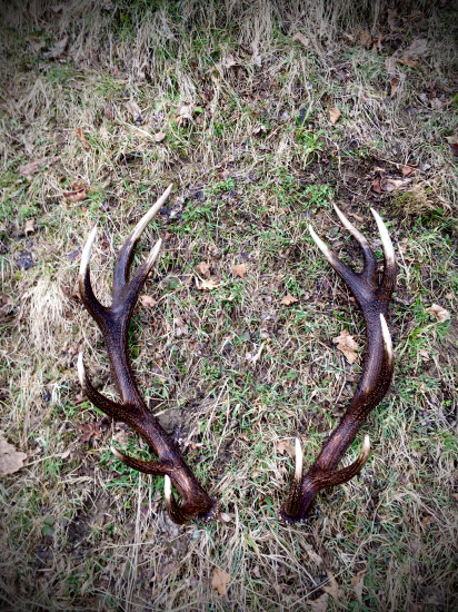 Keď neprší,aspoň kvapká.