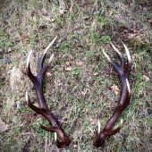 Keď neprší,aspoň kvapká.