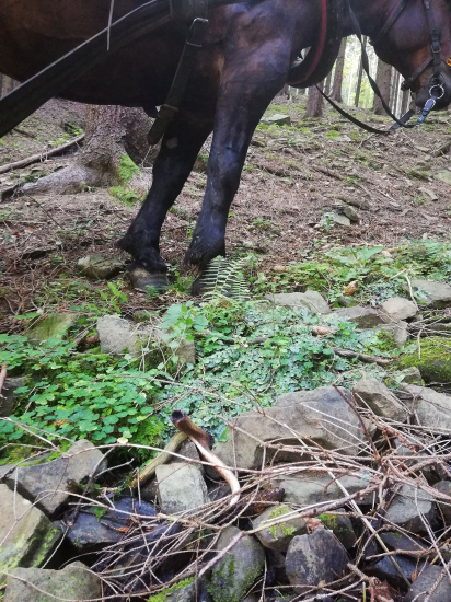 Aj maličkosť poteší -)