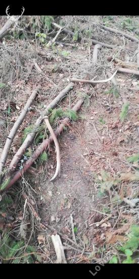 Takto to má byť