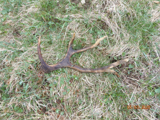 zaujímavý dnešný zhod