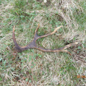 zaujímavý dnešný zhod