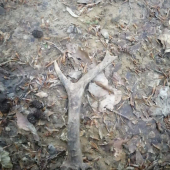 Starší ale potešil