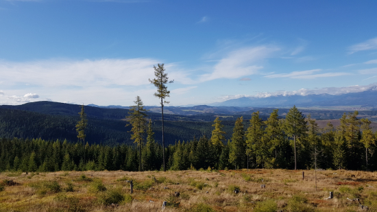 Na hranici Spiša a Liptova