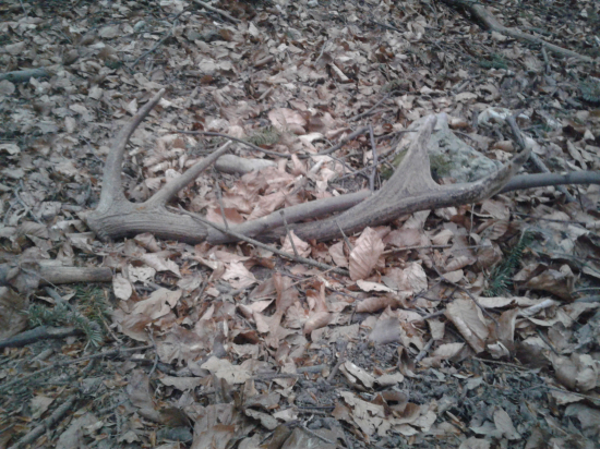 Stale sa baju najsť