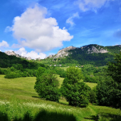 Biele karpaty