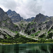 pri zelenom plese