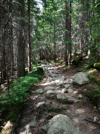 tatranskými chodníkmi