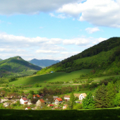 V lone prírody