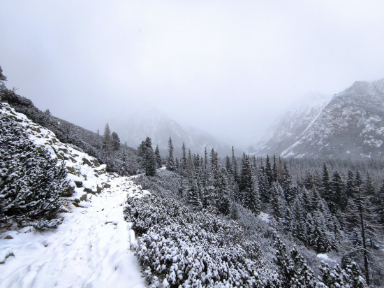 tatranským chodníkom