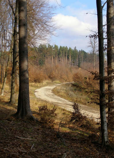 lesnými cestami