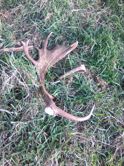 ešte z apríla 2020