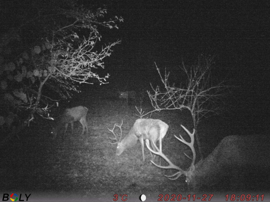 ešte jedna z návštevy...