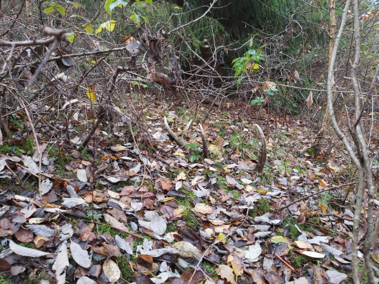 2 roky hľadaný a predsa nájdený...