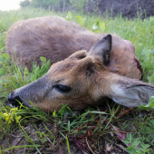 Najvýradovejší z najvýradovejších