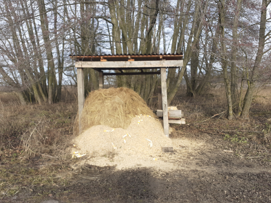 Prvé väčšie prikrmovanie