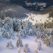 poľana pod Chočom