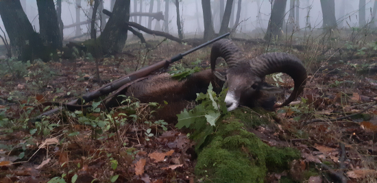 V jedno hmlisté poobedie...