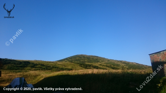 Kriváň