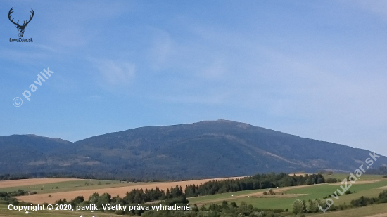 Babia hora