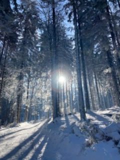 Predierajúce sa slnko