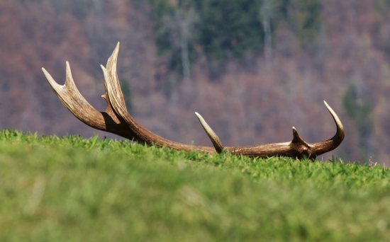 Opäť z tých metrových