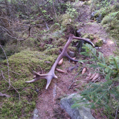 Na správném místě