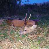 Na pozvání u kamaráda