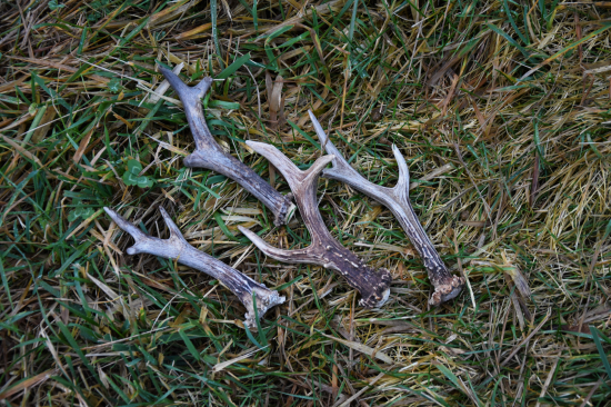 Když se štěstí unaví tak......