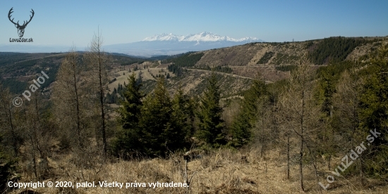 Levočské vrchy