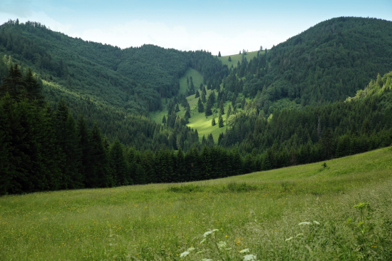 KOPANEC