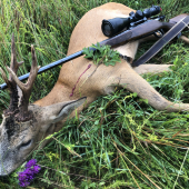 Môj prvý tohtoročný