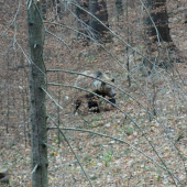 Chvile kedy clovek zabudne dýchat