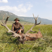 kráľ našich lesov