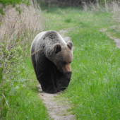 trening srdcového svalu :-)