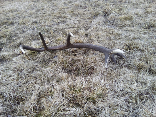 Keď srdce podskočí