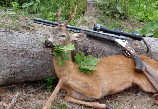 Dnešní druhá věkovka