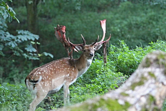Ještě hodinku a už budu fešák