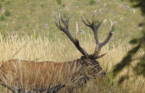 Potichu som odišiel.