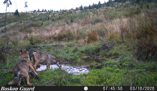 Už sa nemusíte báť.