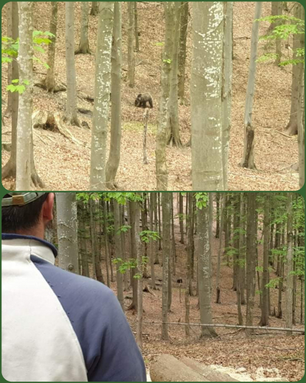 Prišiel priložiť labu k dielu.
