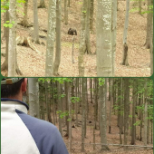 Prišiel priložiť labu k dielu.