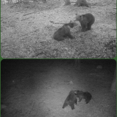 Večerné a nočné dialógy