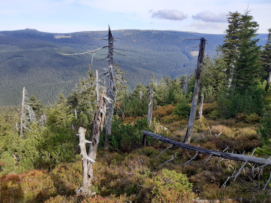 Prameny Mumlavy z Plešáku