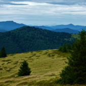 Martinské hole